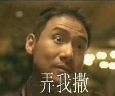 张学友暴漫表情_张学友系列表情_张学友表情出处